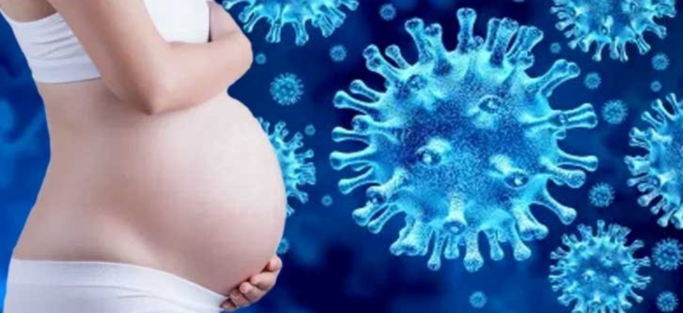 Covid and IVF image
